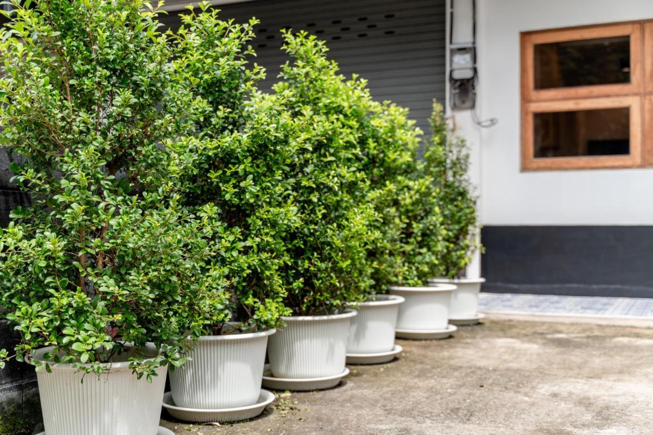 Socialer Coliving & Coworking Space Chiang Mai Esterno foto